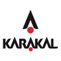 Karakal